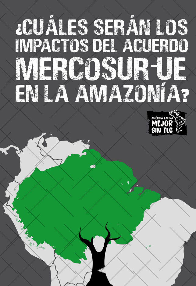 ¿Cuáles serán los impactos del Acuerdo Mercosur-UE en la Amazonía?